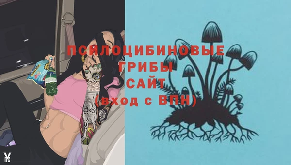 твердый Вязьма