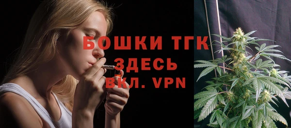 твердый Вязьма