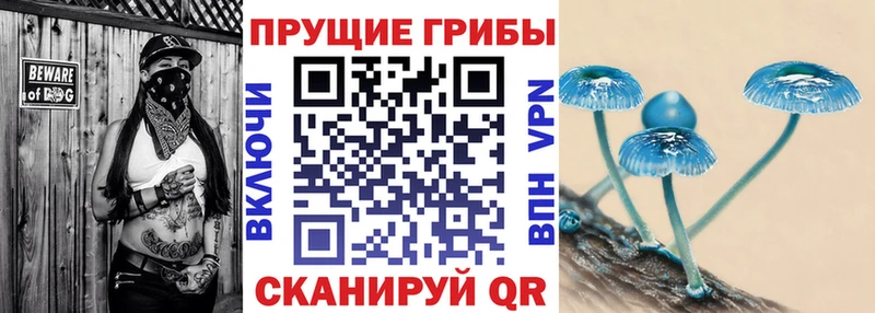 Псилоцибиновые грибы Magic Shrooms  Брянск 